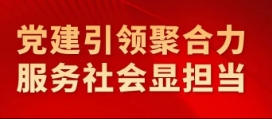 黨建引領聚合力 服務社會顯擔當